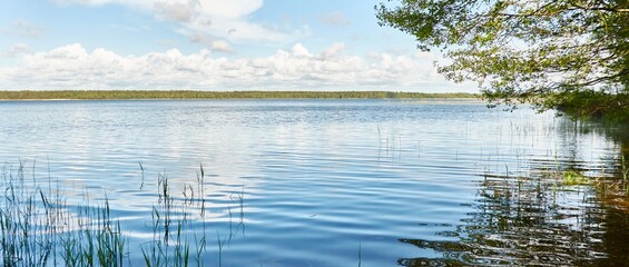 Panoramic view from the shore of a crystal clear forest lake (river). Idyllic landscape. Spring, early summer. Nature, environment, ecology, ecotourism, hiking, vacations, swimming and relaxing themes