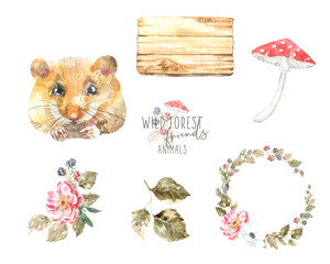Watercolor woodland animal set of forest isolated cute animal and flora element illustration.Baby mouse nursery boho set. Woodland animal face, head,watercolor frame for baby shower, greeting card diy