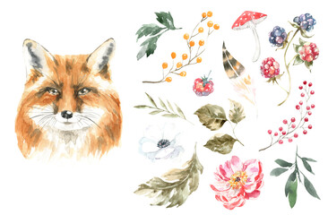 Watercolor woodland animal set of forest isolated cute animal and flora element illustration.Baby fox nursery boho set. Woodland animal face, head,watercolor frame for baby shower, greeting card diy 