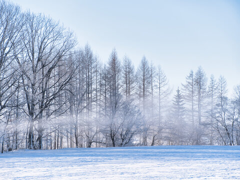 雪景色 Images – Browse 121,419 Stock Photos, Vectors, and