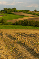 krajobraz rolniczy