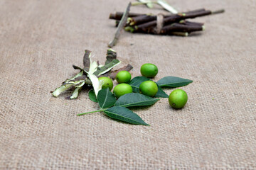 Neem leaves, branches,  fruits on jute fabric background. Margosa leaf, stems, seeds for ayurveda...