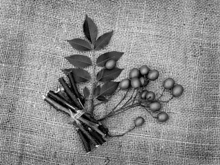 Neem leaves,  fruits, and stems on jute fabric background. Medicinal neem seeds, leaf, branches...