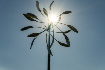 white flower against blue sky