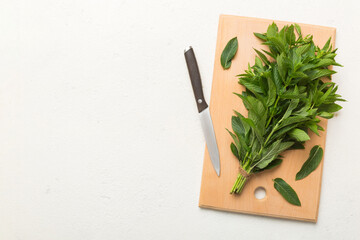 Bunch of fresh mint on the cutting boards, colored background top view