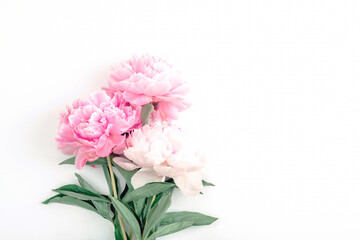 Obraz na płótnie Canvas Pink peony flowers on white background with copy space. Top view