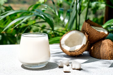 Coconut milk in glass and half of coconut on palm leaf background. Vegetable milk, lactose free non dairy healthy drink. Vegan food.
