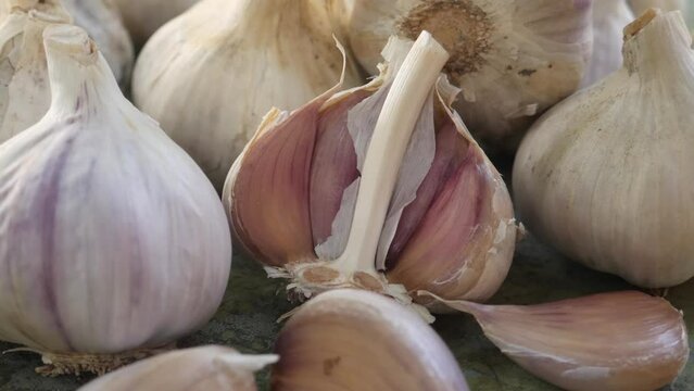 Raw white garlic with segments on wooden background. Vegetables, healthy food for humans. Shopping food supermarket