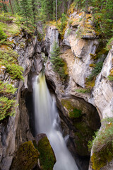 Maligne Canyon Falls Jasper National Park