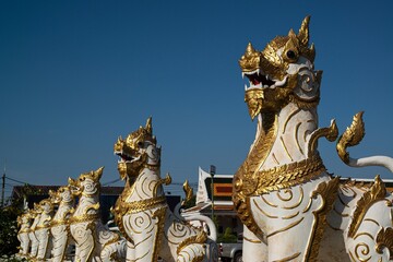 The Leo or lion serves as protection. Preserving the place at Wat Phra That Choeng Chum Worawihan It is an important sacred place of the house. couple from ancient times.