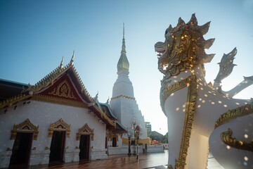 The Leo or lion serves as protection. Preserving the place at Wat Phra That Choeng Chum Worawihan...