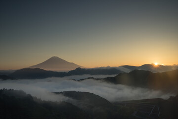 日の出の雲海と富士山