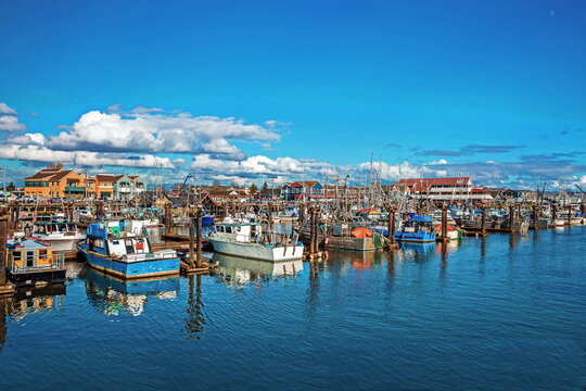  
Fishing Boats in Marina and a cloudy sky. This marina is located in the Steveston area of Richmond. The fishing village formed in this place was the first settlement on the territory of  Richmond 

