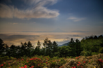 雲海の富士山