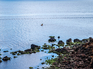  Rocks To Kayaker