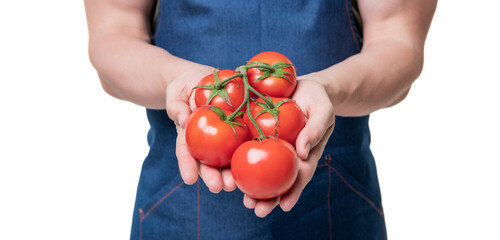 tomato vegetable in hands of man isolated on white