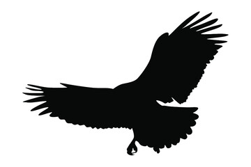 Eagle Silhouette Vector