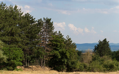 Panoramic terrain of southern Europe. Landscape of Bulgaria-mountains, fields, flora.