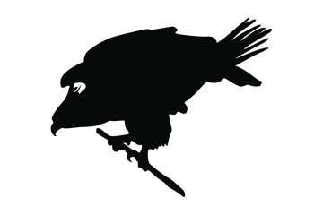 Eagle Silhouette Vector