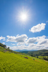 Obraz premium 棚田と青空