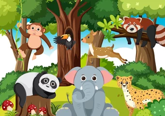 Cute wild animals in the forest © blueringmedia