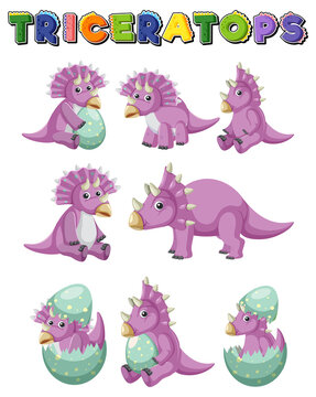 Different purple triceratops dinosaur collection