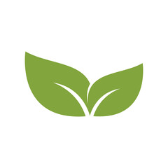 Green leaf illustration