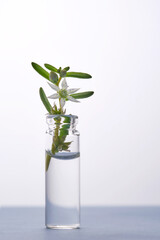 Bottle of water with flower on a light background. It can fit the theme of cosmetics, glass and freshness.