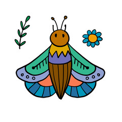 Ornate colorful butterfly, isolated on white. Cartoon for your design