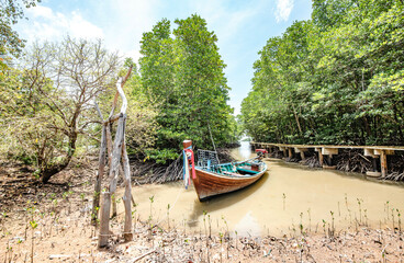 Long-tail boats for tourists parked in the mangrove forest to wait for tourists on Koh Taen. Samui, Thailand
