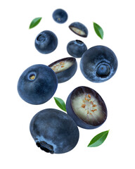 Fresh blueberry flying in the air isolated on white background. 