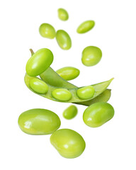Green soy bean flying in the air isolated on white background.