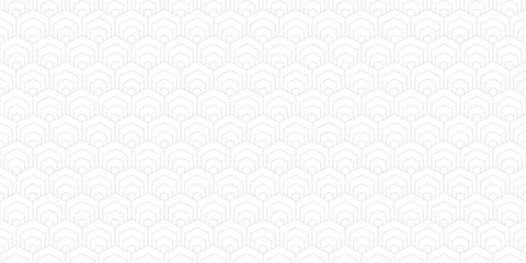 Fototapeta premium white abstract background with hexagon pattern style and seamless concept