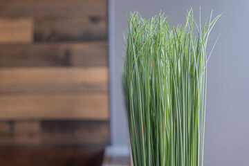 Grass in restaurant used as interior decor