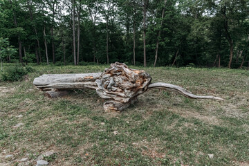 Fototapeta na wymiar Large artificial kite, dragon made of logs, wood. High quality photo