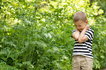 A little boy stands in a dense thicket of grass. Mosquitoes bite him