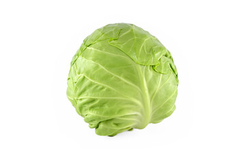 White cabbage over white background