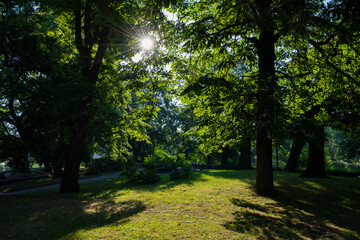 Fototapeta na wymiar Musumägi park in Tallinn, Estonia