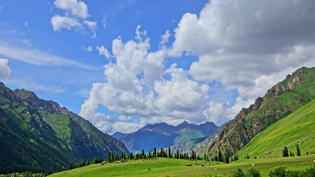 Green grassland and mountain natural landscape in Xinjiang, China. Beautiful grassland natural scenery in spring.