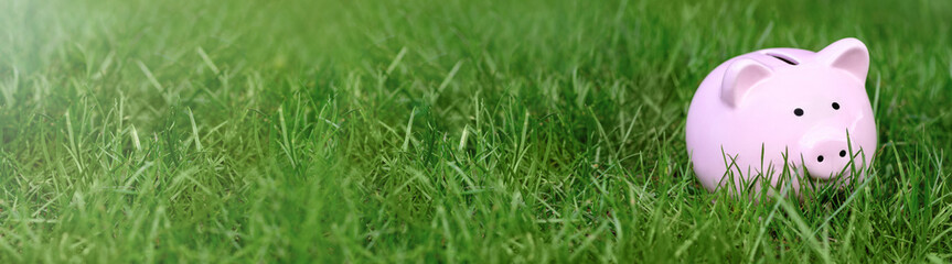 .Pink Piggy bank on green grass in summer, copy space. World crisis concept. Banner