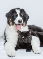 Sleepy Australian shepherd dog hugging black cat on a bed at home