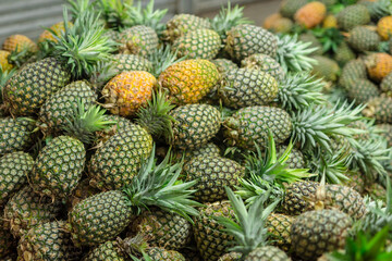 A large pile of ripe pineapples delivered to a fruit market. Wholesale pineapple trade.