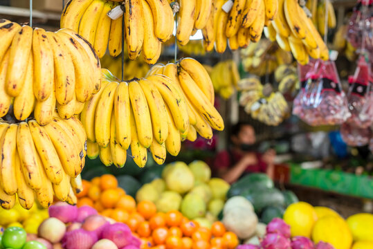 Hanging Lacatan Bananas and other tropical fruits for sale at a market stand.