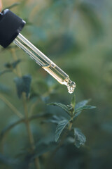 Pipette with essential liquid of mint