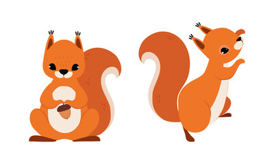 Red Fluffy Squirrel with Bushy Tail Sitting with Acorn and Climbing Vector Set