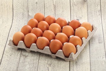 Organic chicken egg in the carton