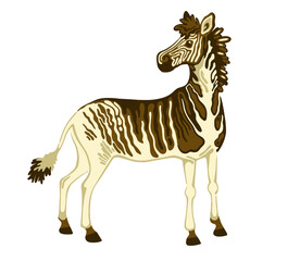 vector zebra quagga cartoon illustration