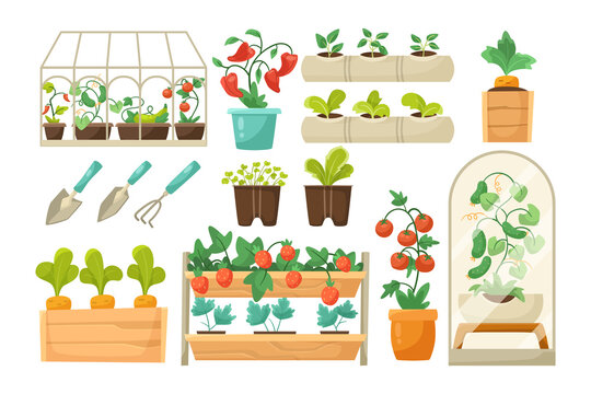 Plants and gardening equipment vector illustrations set. Cartoon drawings of tools for garden or greenhouse, wooden boxes with vegetables isolated on white background. Agriculture, farming, concept