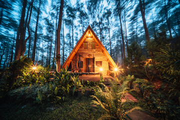 Pinewood cabin in pine forest green on nature trail. Wooden house or wooden hut along the Pinewood...