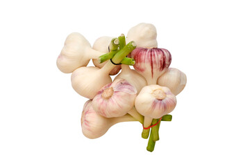 Garlic isolated on white background	
